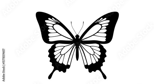 Elegant monochrome butterfly illustration conveying classic beauty and simplicity