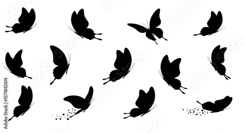 Black butterfly silhouettes gracefully dance against a pristine white background