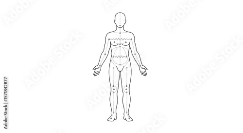 Female anatomy figure showing cutaneous sensory dermatomes for neurological diagnosis, useful for medical illustration and teaching of human body skin areas.