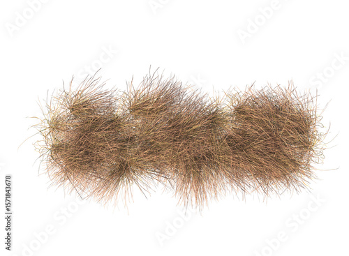 Various types of dried plants grass bushes shrub and small plants isolated