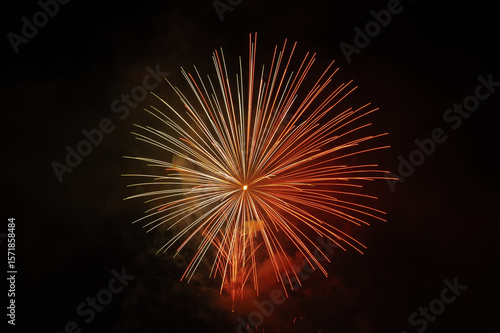 fireworks in the night sky