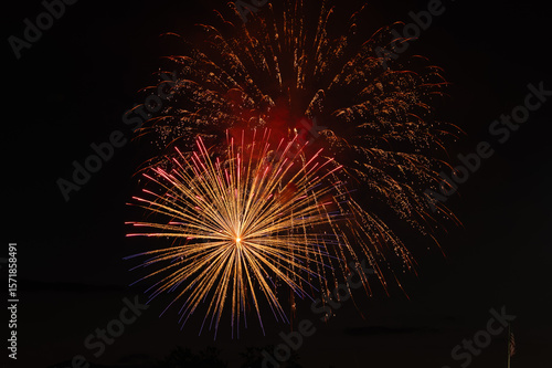 fireworks in the night sky