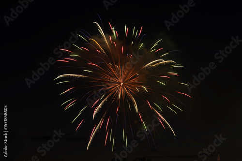 fireworks in the night sky
