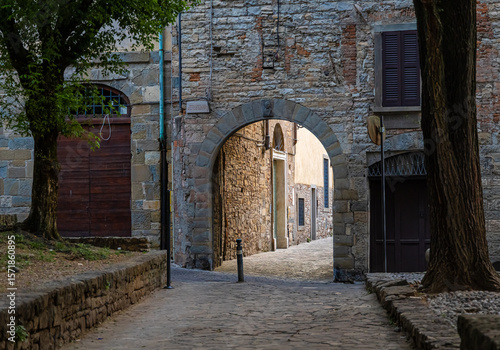 Fototapeta Naklejka Na Ścianę i Meble -  Streets of Bergamo’s Città Alta in Italy with terracotta rooftops, historic churches, and mountain backdrop on a clear day