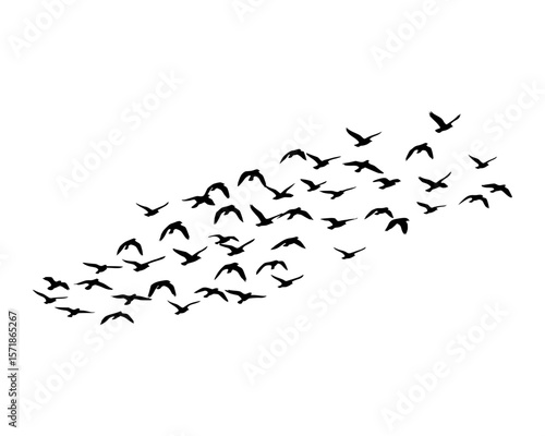 Minimalist Black Flock of Birds Silhouettes Representing Nature and Collective Flight in Simple Graphic Form