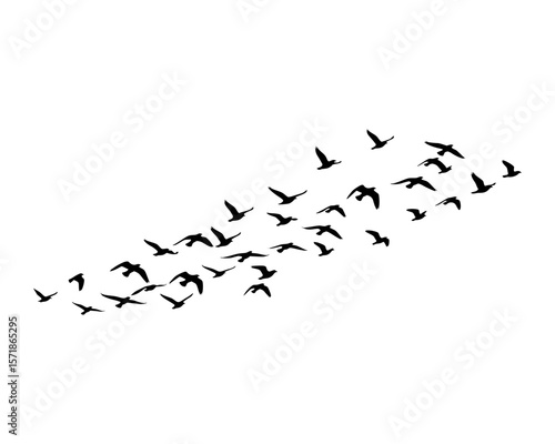 Minimalist Black Flock of Birds Silhouettes Representing Nature and Collective Flight in Simple Graphic Form