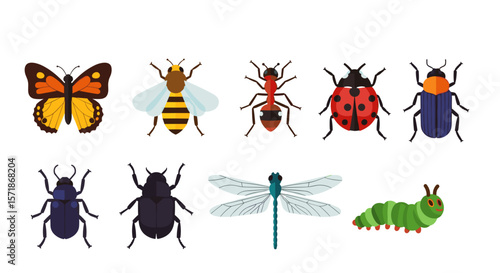 Illustration showing a collection of diverse insects including a butterfly bee ant ladybug and beetles