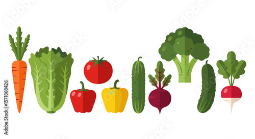 A colorful assortment of fresh vegetables including carrots, lettuce, tomatoes, and broccoli displayed