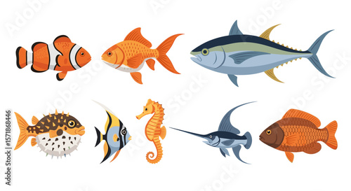 Illustration of various types of fish including clownfish, goldfish, tuna, and seahorse species