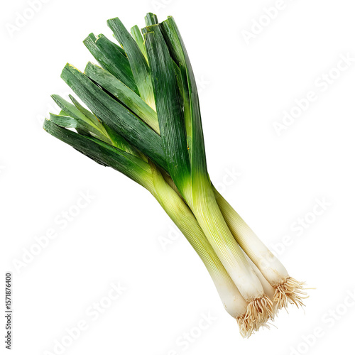 Fresh, vibrant leeks displayed against a clean background