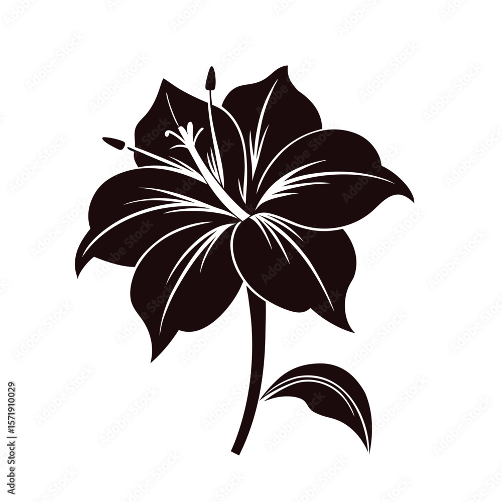 Fototapeta premium amaryllis flower vector illustration silhouette