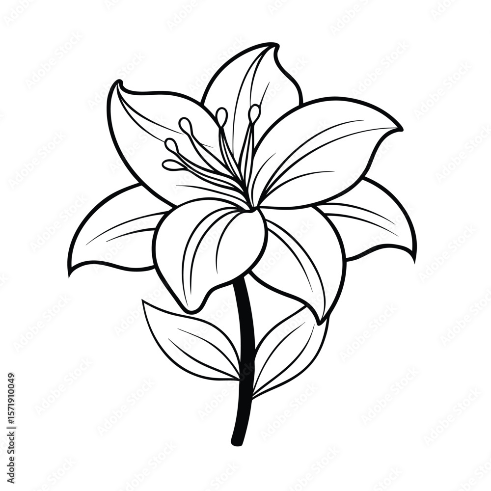 Fototapeta premium amaryllis flower vector illustration outline