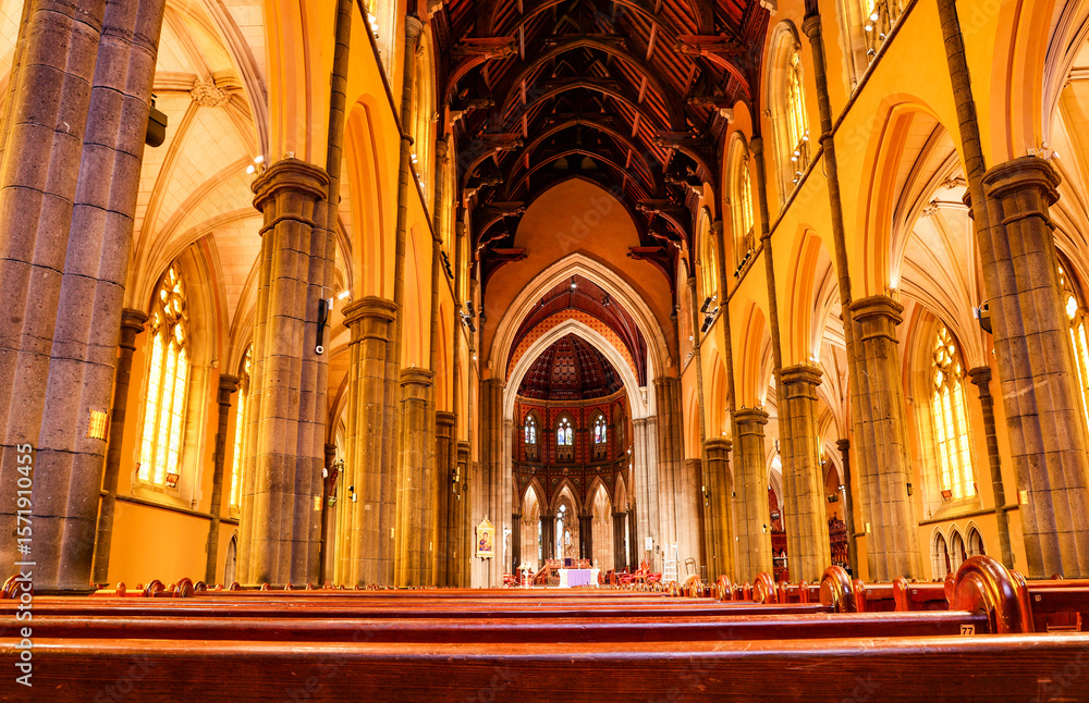 Fototapeta premium Melbourne Saint Patrick Catholic Cathedral