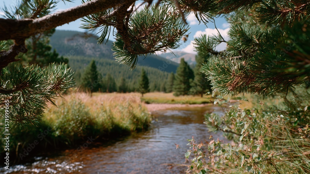 Obraz premium Lush riverbank view framed by pine branches in a mountainous region during a bright summer day