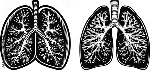 human lungs damaged, human lungs, lung-silhouette, Day of World Lung Cancer