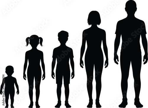 Human Height Chart: Male and Female Growth Stages Silhouette

