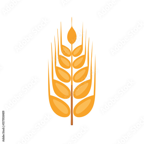 Wheat Icon Isolated on a Transparent Background 