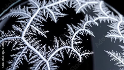 Wallpaper Mural Silver crystallization growing in petri dish on black background Torontodigital.ca