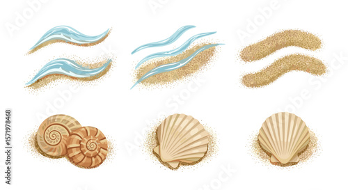 Illustration of seashells, sand dunes, and water waves arranged on a white background surface area