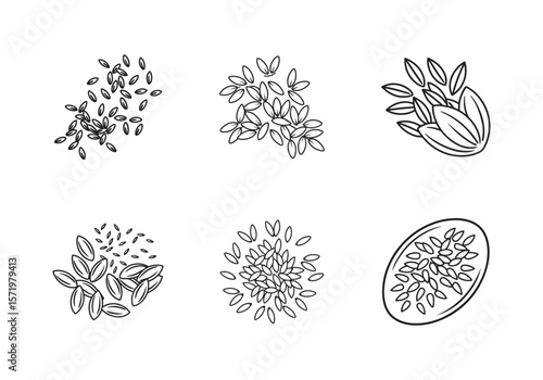 flaxseeds line art vector illustration design