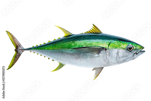 3D Render a fish with a green tail and yellow fins