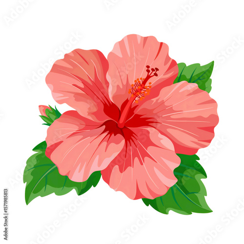 Beautiful pink hibiscus flower illustration for summer design projects png isolated on transparent background