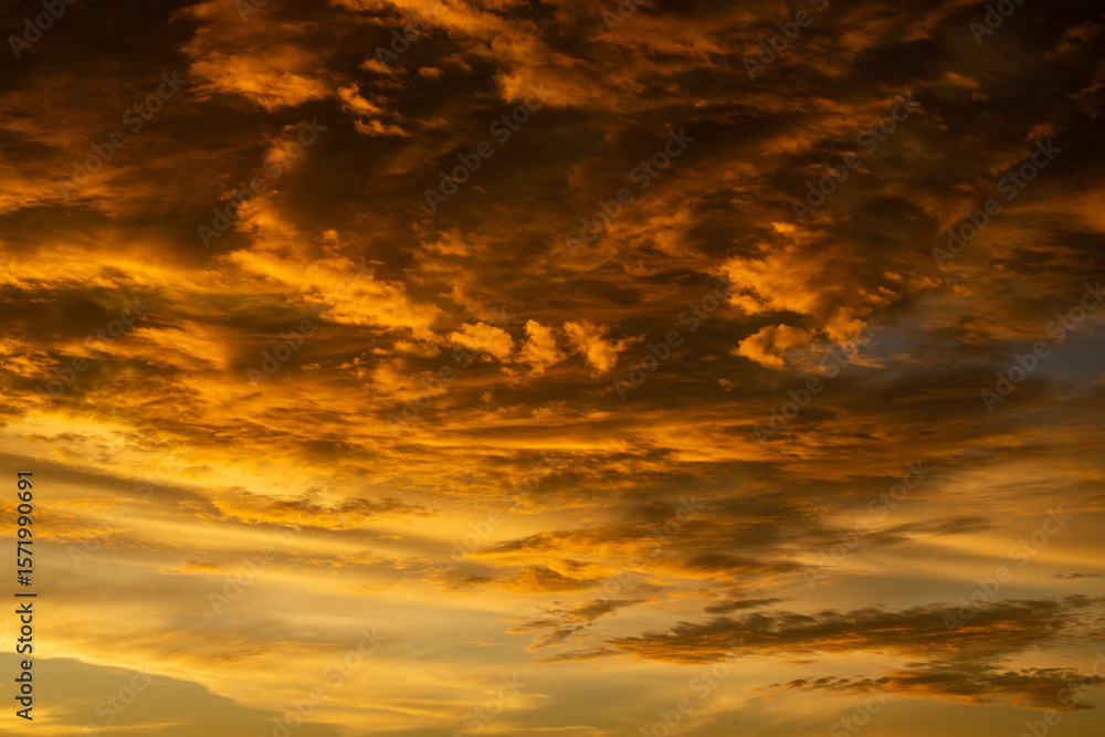 Obraz premium 奄美大島の夏の夕暮れ。