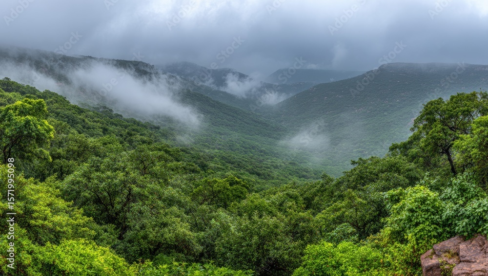 Misty valley, lush green hills Misty valley, lush green hills