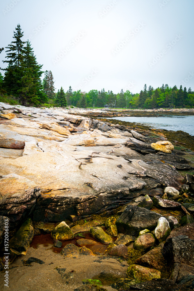Naklejka premium Reid State Park in Georgetown, Maine