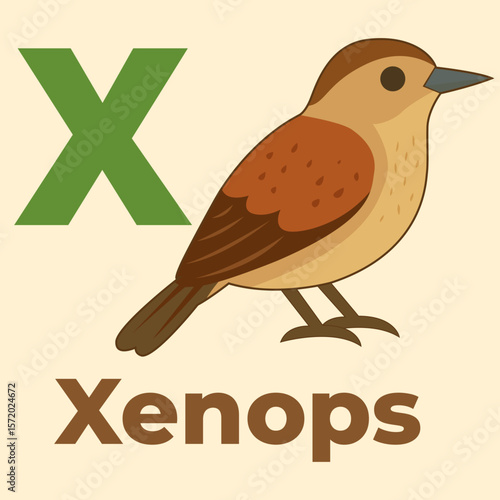 Cute xenops bird representing the letter X from a children's animal alphabet series. Perfect for flashcards, books, and early learning materials.