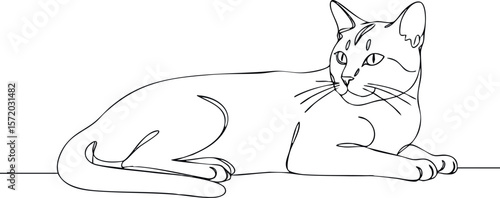 Cat lying down simple line art vector illustration natural pose calm animal pet