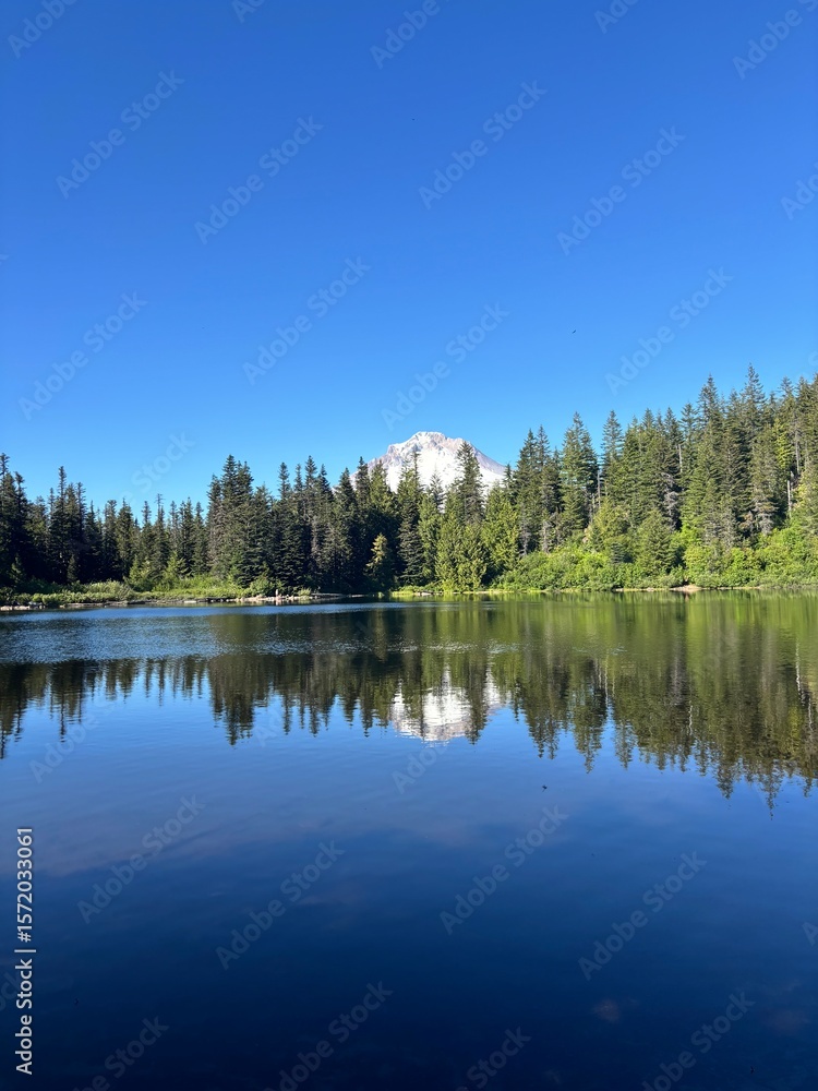 Obraz premium lake and forest
