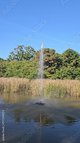 A wonderful fountain show in a beautiful forest pond