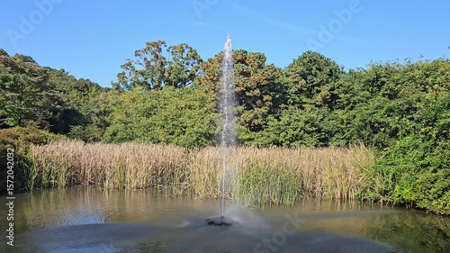 A wonderful fountain show in a beautiful forest pond