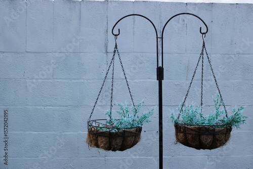 plant hanger 