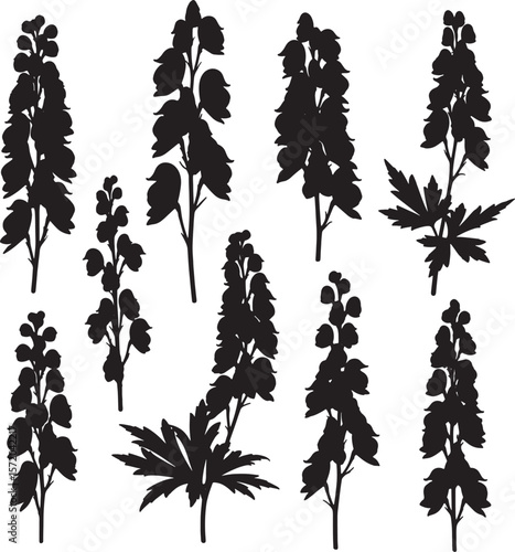 Collection of delphinium flower and plant silhouettes, ideal for botanical, nature, and floral design themes. Perfect for garden illustrations, towering blooms, and organic patterns