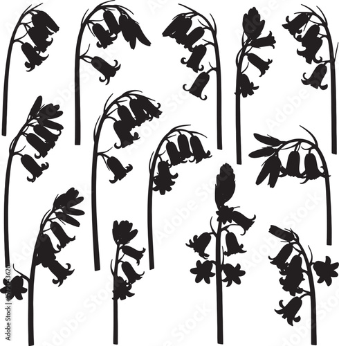 A large collection of black bluebell flower silhouettes, featuring various drooping blooms and graceful stems, ideal for botanical, garden, and decorative spring designs