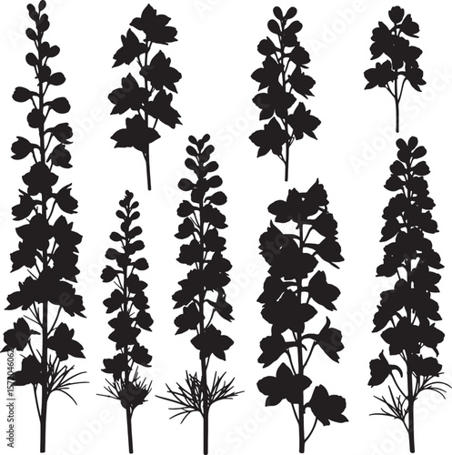 Collection of various delphinium flower and plant silhouettes with tall spires and delicate florets, perfect for botanical designs, natural themes, and elegant floral graphics