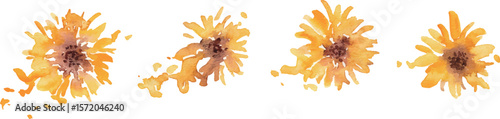 ひまわりのベクターイラスト。水彩タッチで描いた夏の向日葵背景。Vector illustration of sunflowers. Summer sunflower background with watercolor touch.