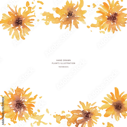 ひまわりのベクターイラスト。水彩タッチで描いた夏の向日葵背景。Vector illustration of sunflowers. Summer sunflower background with watercolor touch.
