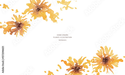 ひまわりのベクターイラスト。水彩タッチで描いた夏の向日葵背景。Vector illustration of sunflowers. Summer sunflower background with watercolor touch.