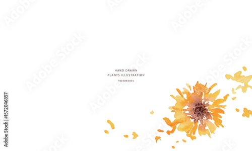 ひまわりのベクターイラスト。水彩タッチで描いた夏の向日葵背景。Vector illustration of sunflowers. Summer sunflower background with watercolor touch.