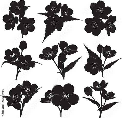 A versatile collection of jasmine flower silhouettes, featuring various clusters of blossoms, buds, and delicate leaves, ideal for botanical designs, patterns, and elegant floral illustrations