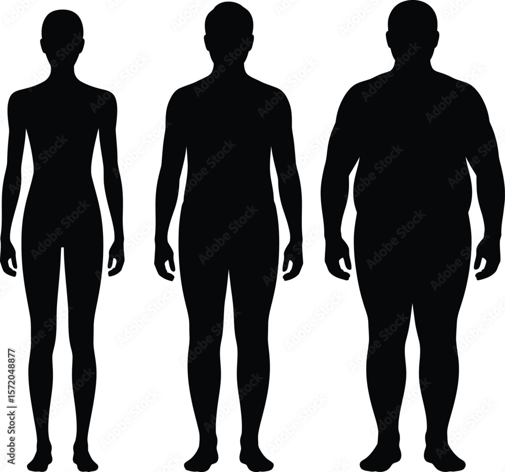 Silhouettes of a slender woman a man and an overweight man on a white background Silhouettes of a slender woman a man and an overweight man on a white background