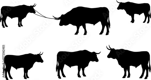 Saddle Back Bronc Silhouette Vector
