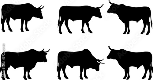 Saddle Back Bronc Silhouette Vector
