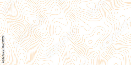 Topographic map background geographic line map with elevation assignments. Modern design with White background with topographic wavy pattern design.paper texture Imitation of a geographical map shades