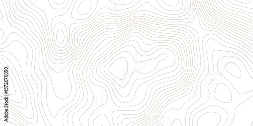 Topography background. Vector banner. Topography map background. Vector geographic contour map. Background of the topographic map. Topographic map lines, contour background.