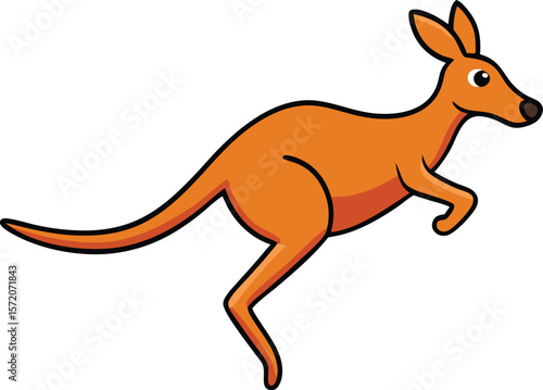 kangaroo vector illustration mammal cartoon