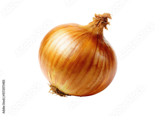 Wallpaper Mural Golden brown onion with dry papery skin and fibrous roots bulb vegetable, Isolated, Transparent Png Torontodigital.ca